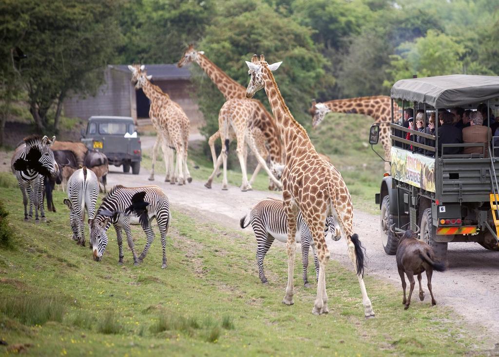 Port Lympne Mansion Hotel 외부 사진